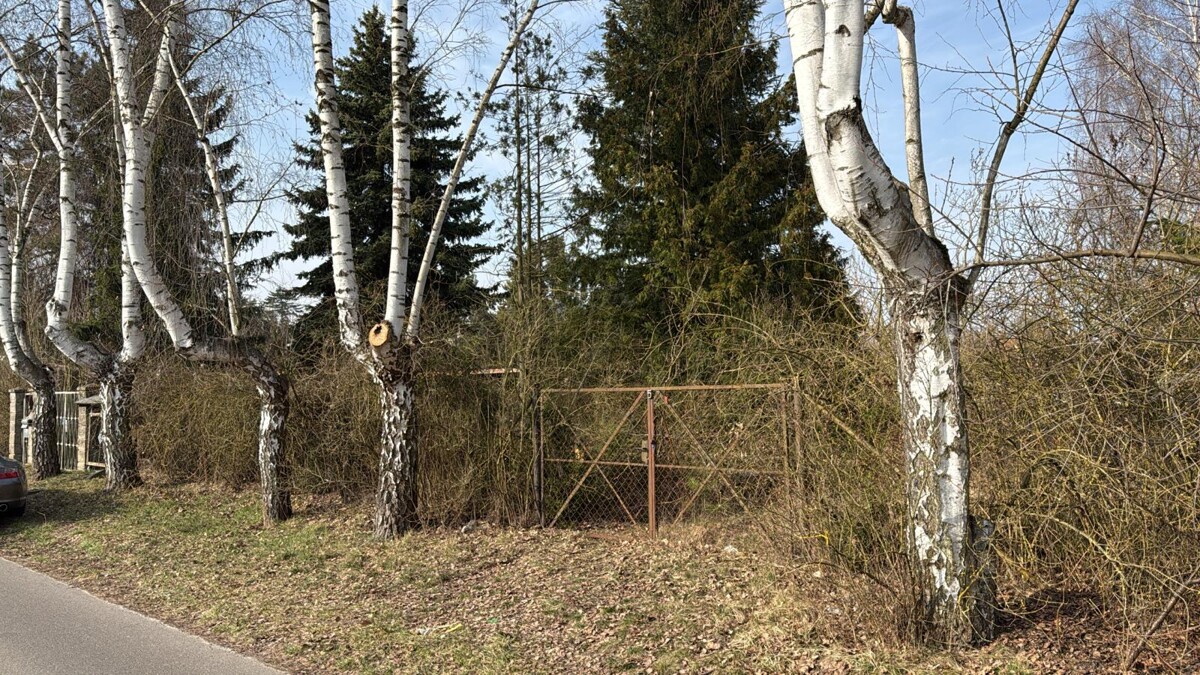 Baugrundstück mit viel Potenzial | Nähe Infrastruktur, großzügige Grundstücksgröße von 719 m²