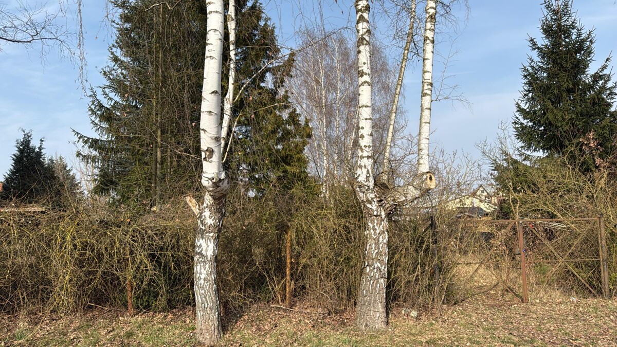 Baugrundstück mit viel Potenzial | Nähe Infrastruktur, großzügige Grundstücksgröße von 719 m²