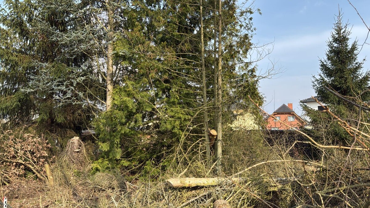 Baugrundstück mit viel Potenzial | Nähe Infrastruktur, großzügige Grundstücksgröße von 719 m²