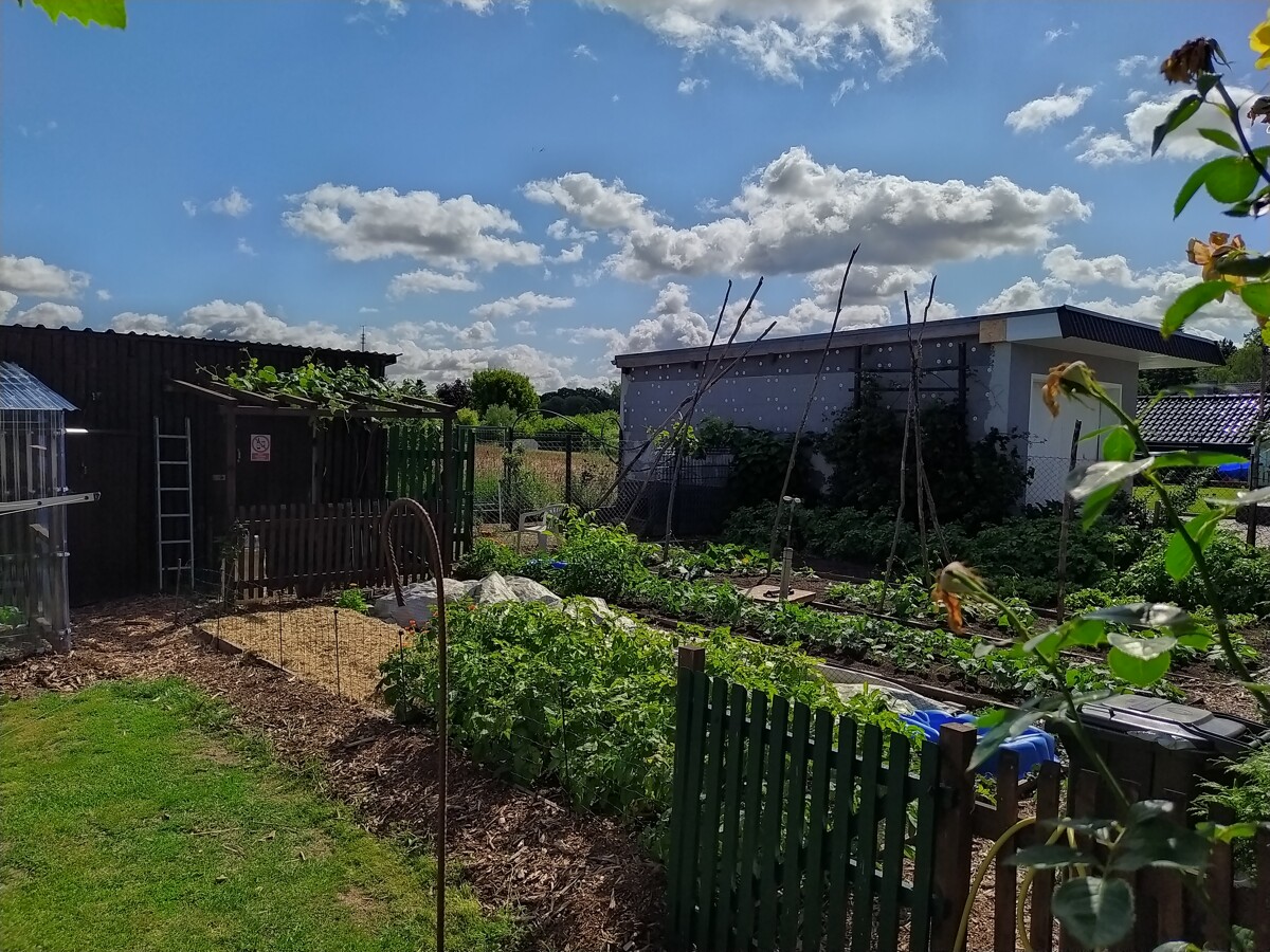 RESERVIERT | Wohnen mit Weitblick: Einfamilienhaus mit traumhafter Feldlage in Werneuchen
