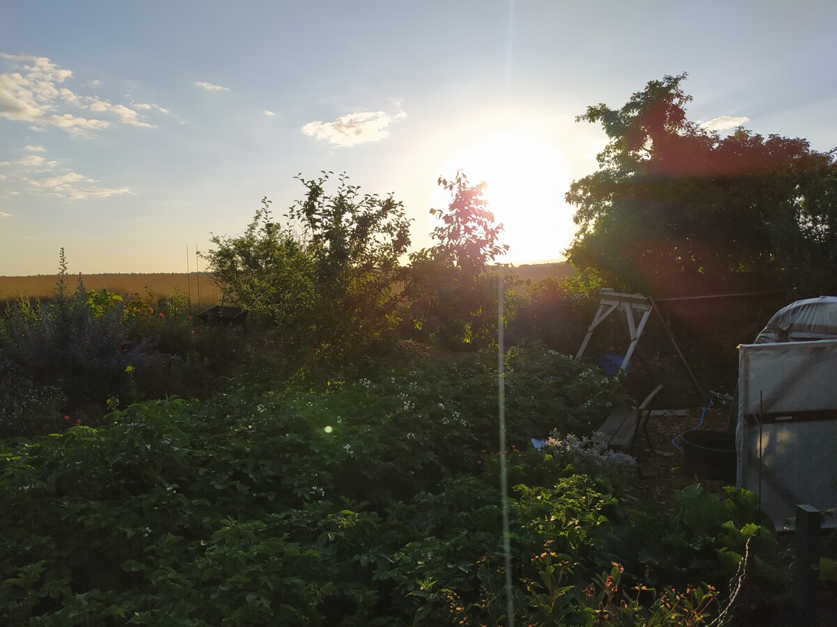RESERVIERT | Wohnen mit Weitblick: Einfamilienhaus mit traumhafter Feldlage in Werneuchen