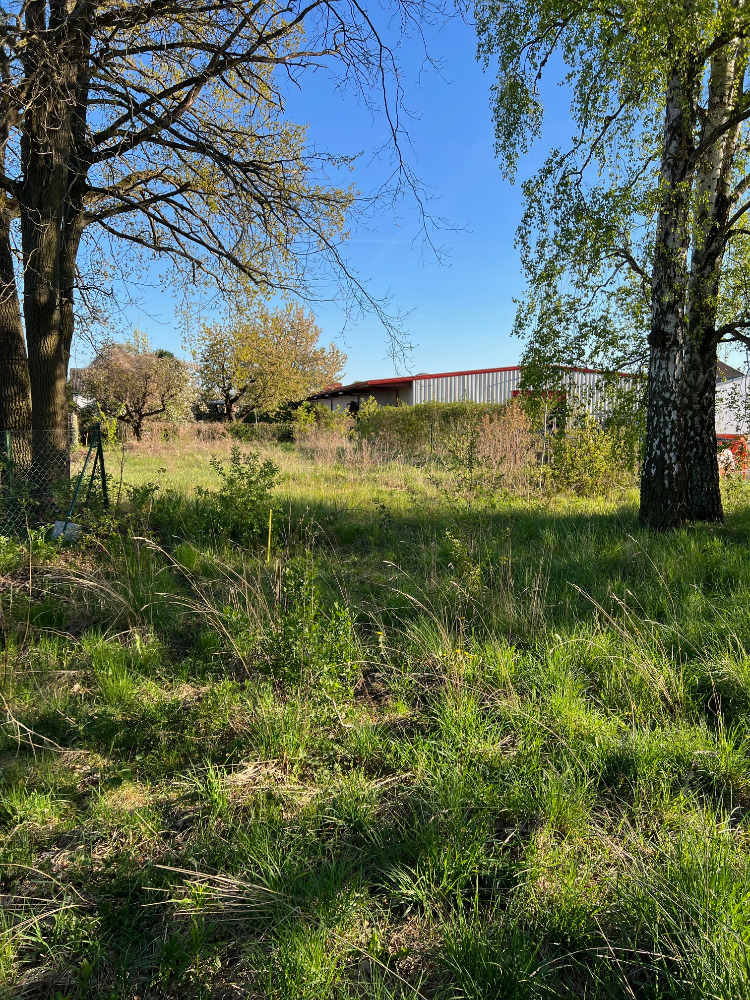 Grundstück mit Charakter im grünen Klosterfelde