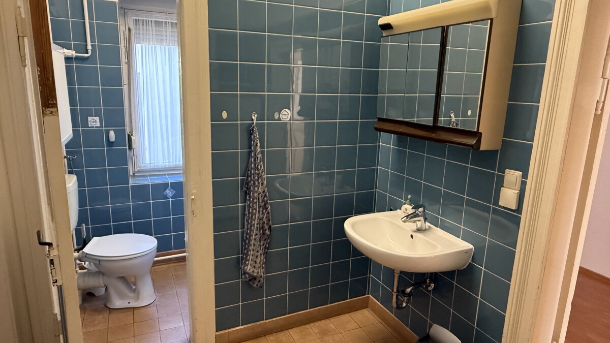 PROVISIONSFREI | Familienidyll mit Elbblick: 7-Zimmer-Haus mit Einliegerwohnung & Garten