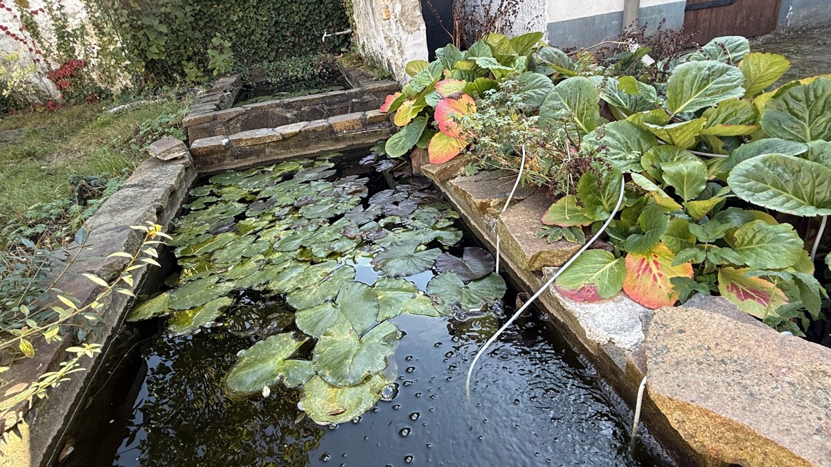 PROVISIONSFREI | Familienidyll mit Elbblick: 7-Zimmer-Haus mit Einliegerwohnung & Garten
