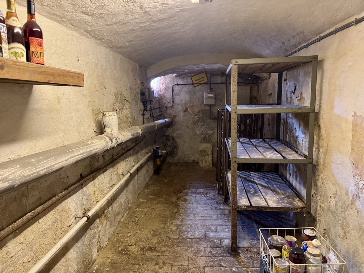 PROVISIONSFREI | Familienidyll mit Elbblick: 7-Zimmer-Haus mit Einliegerwohnung & Garten