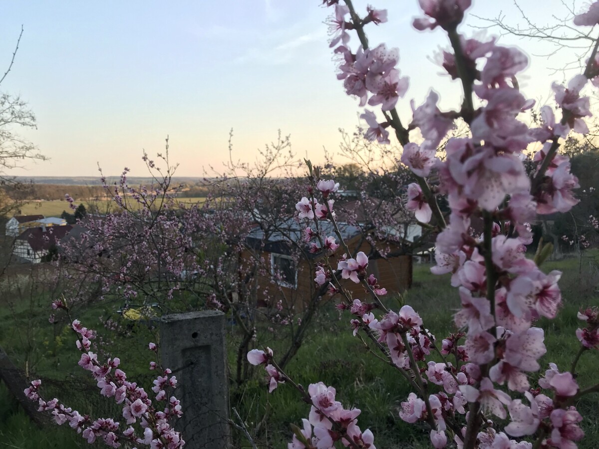 NEUER ANGEBOTSPREIS | Baugrundstück mit unverbaubarem Fernblick unweit von Eberswalde