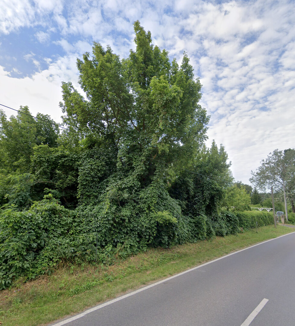PROVISIONSFREI | Wohnbaugrundstück in ruhiger Wohnsiedlung in Strausberg