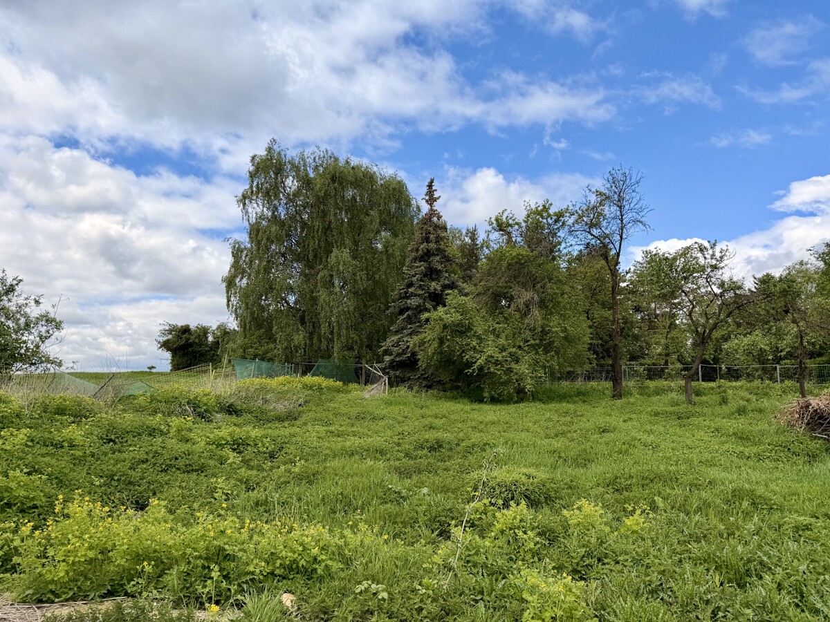 Hinterliegergrundstück mit massiver Scheune in Ahrensfelde sichern - ruhige Ortslage mit Weitblick!