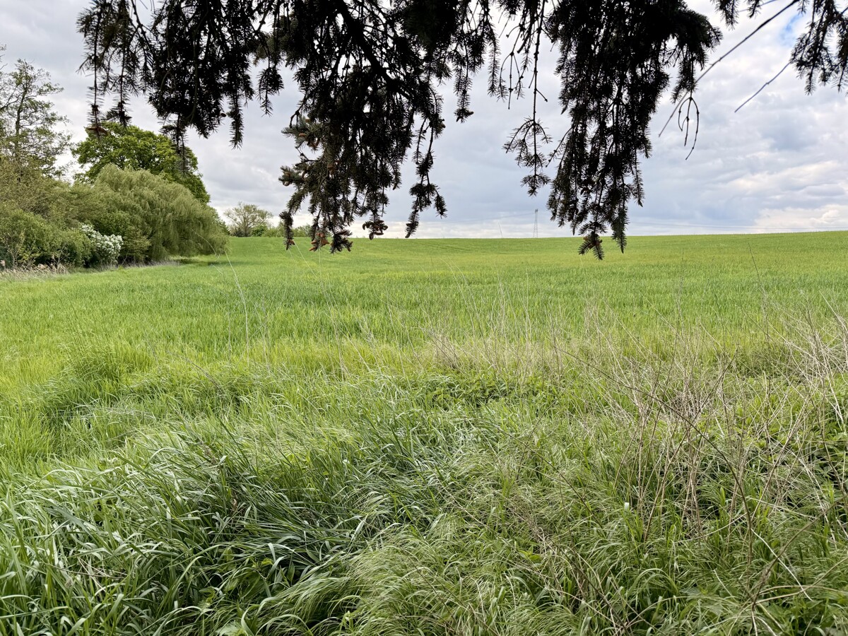 Hinterliegergrundstück mit massiver Scheune in Ahrensfelde sichern - ruhige Ortslage mit Weitblick!