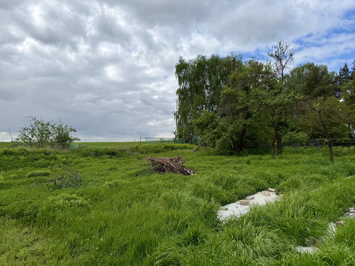 Vorderliegergrundstück mit massiver Scheune in Ahrensfelde sichern - ruhige Ortslage mit Weitblick!