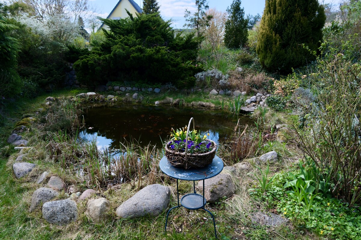 NEUER PREIS | Großzügige Villa mit Schwimmbad und parkähnlichem Garten