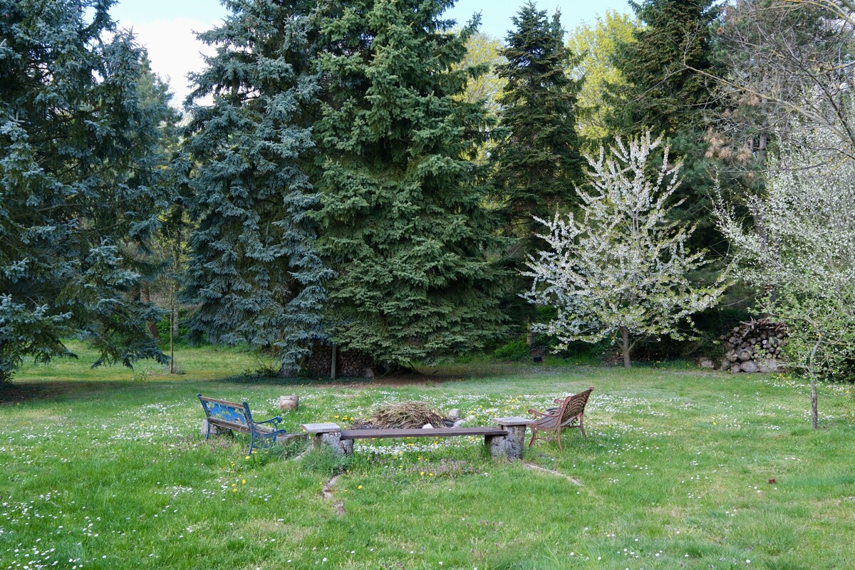 NEUER PREIS | Großzügige Villa mit Schwimmbad und parkähnlichem Garten
