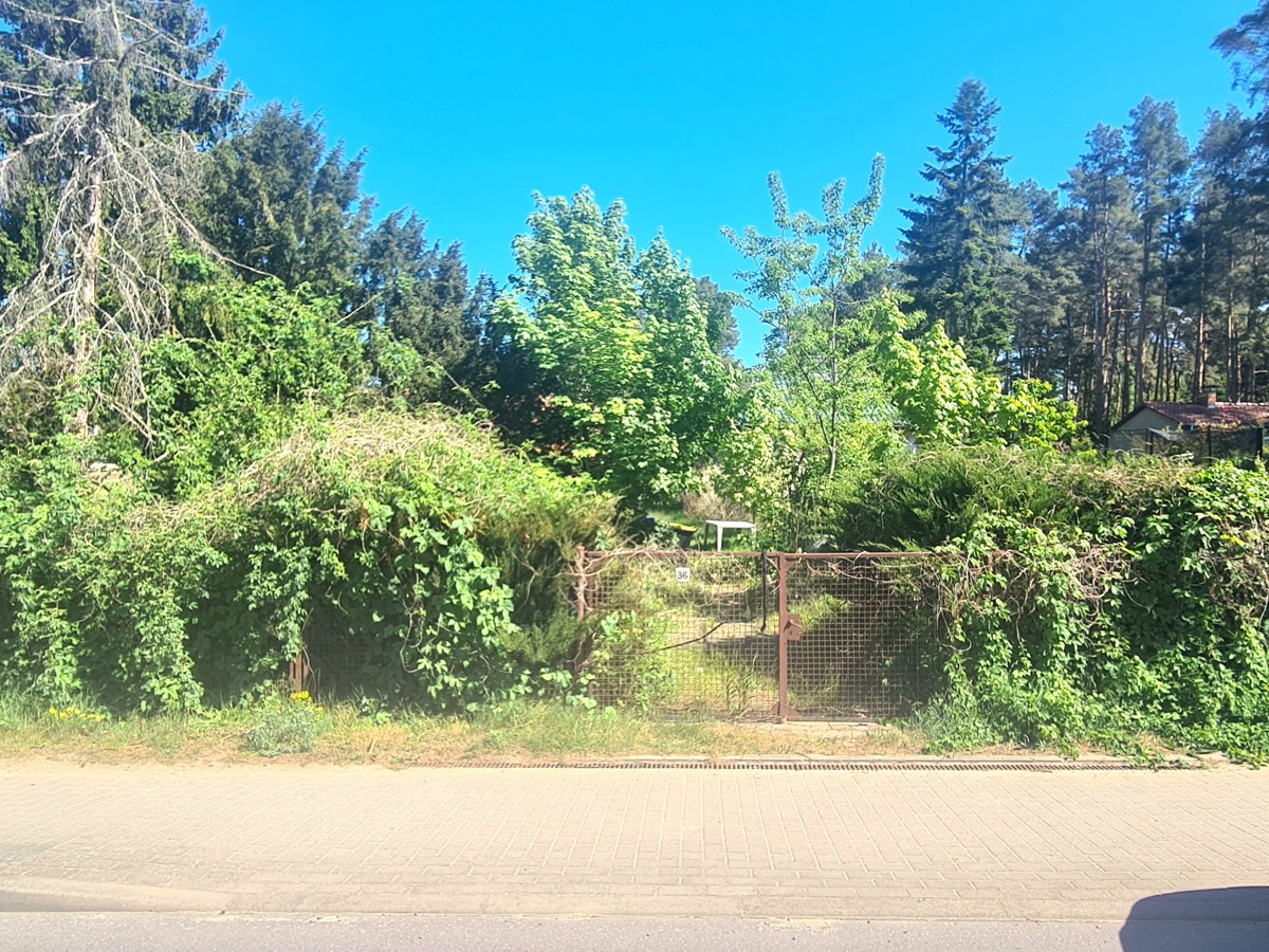 RESERVIERT | FINALER PREIS | 742 m² BAUGRUNDSTÜCK  im Grünen, bis zu 2 geschossig, BAUTRÄGERFREI