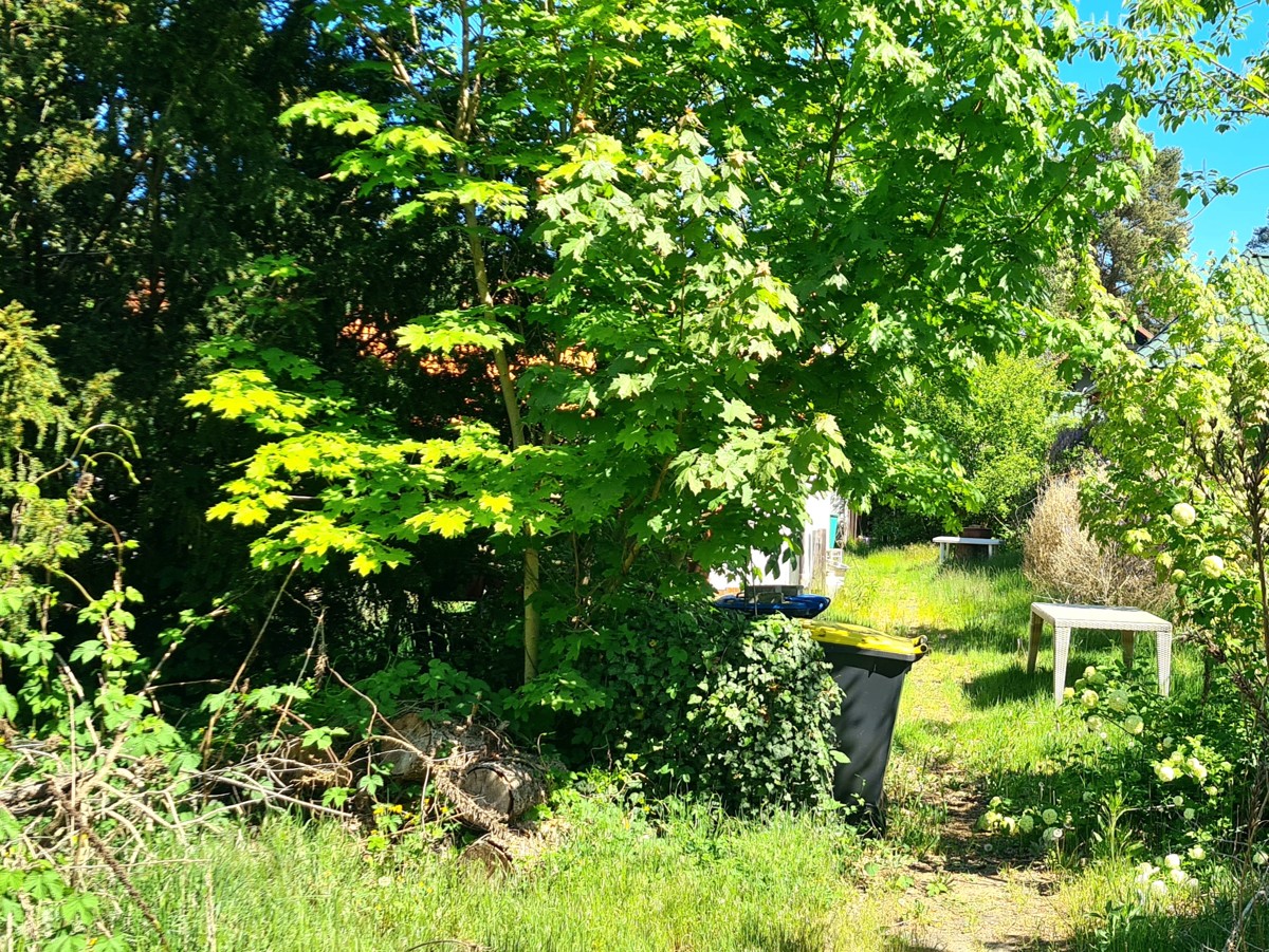 RESERVIERT | FINALER PREIS | 742 m² BAUGRUNDSTÜCK  im Grünen, bis zu 2 geschossig, BAUTRÄGERFREI