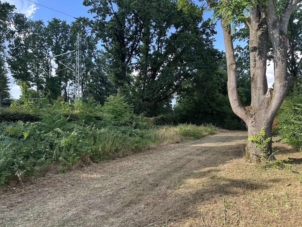 Voll erschlossenes Baugrundstück in Panketal – sofort bebaubar & provisionsfrei