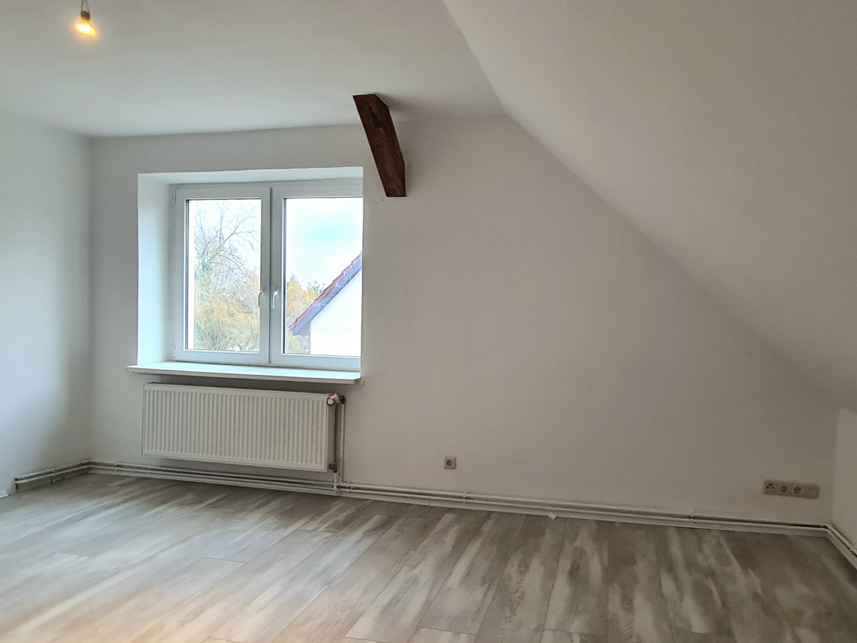 NEUER PREIS  | Großzügiger Vierseitenhof mit 260m² Haus auf fast 9000 m² Grundstück - viel Potential