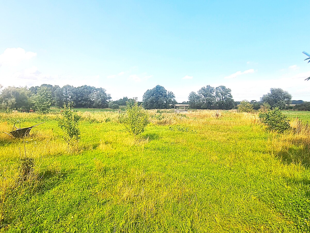 NEUER PREIS  | Großzügiger Vierseitenhof mit 260m² Haus auf fast 9000 m² Grundstück - viel Potential