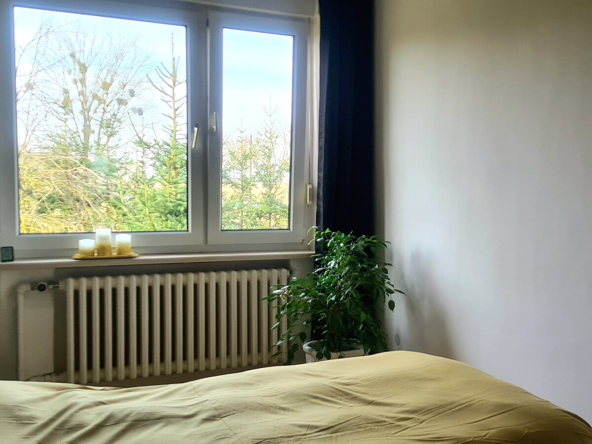 NEUER PREIS | Endlich Platz, Ruhe und Natur - 140m² Haus + 140m² Souterrain + 4638m² Grundstück