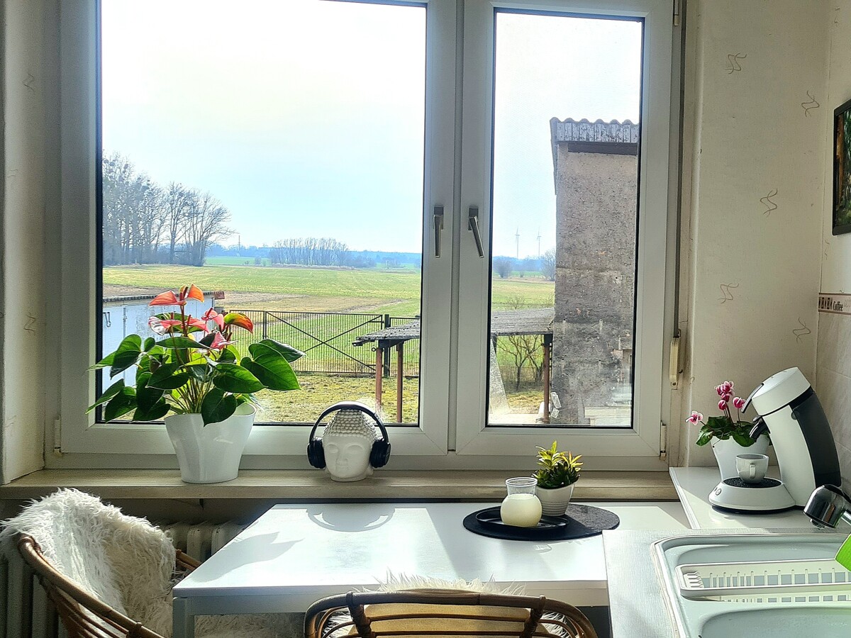 NEUER PREIS | Endlich Platz, Ruhe und Natur - 140m² Haus + 140m² Souterrain + 4638m² Grundstück