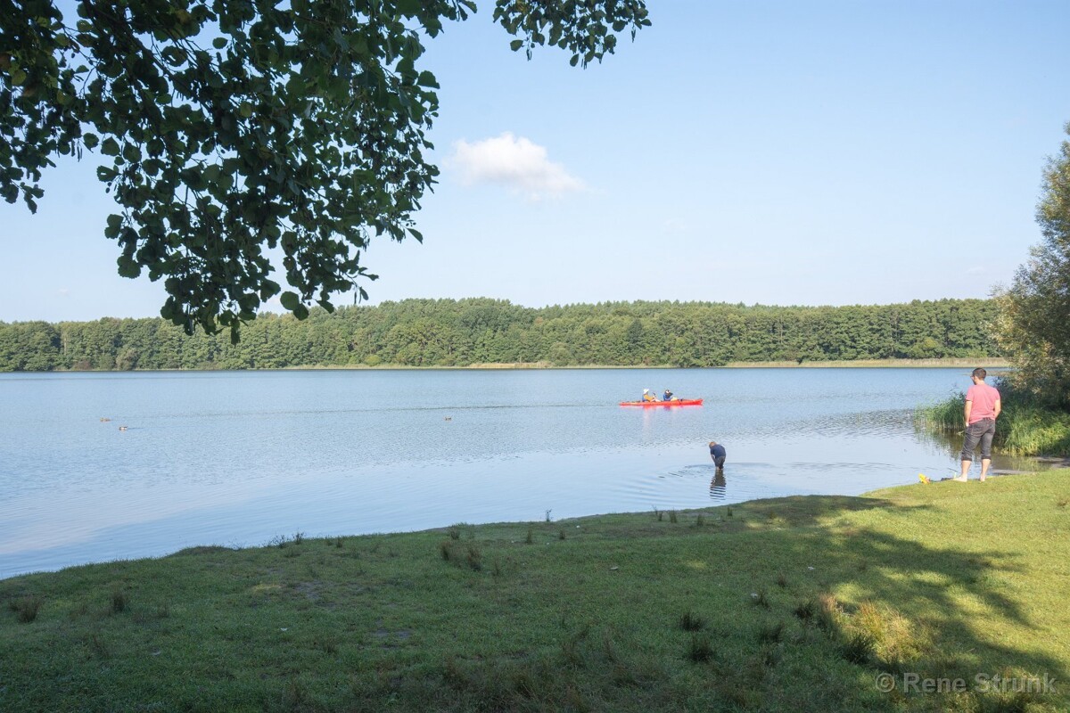 PROVISIONSFREI |Skandinavisches Ferienhaus im Ferienpark Mirow – Erholung, Komfort & Rendite