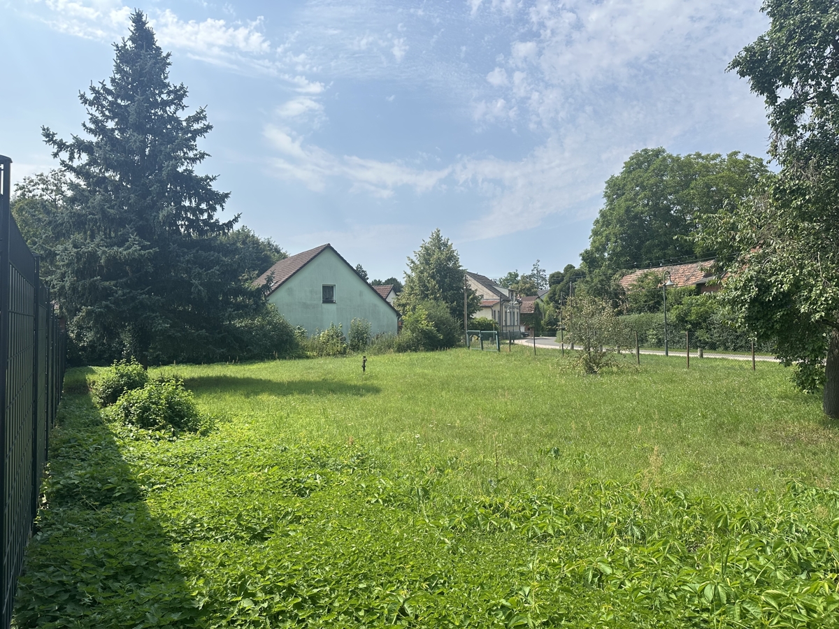 PROVISIONSFREI | Baugrundstück in der Schorfheide | Für Ihren Traum vom Eigenheim