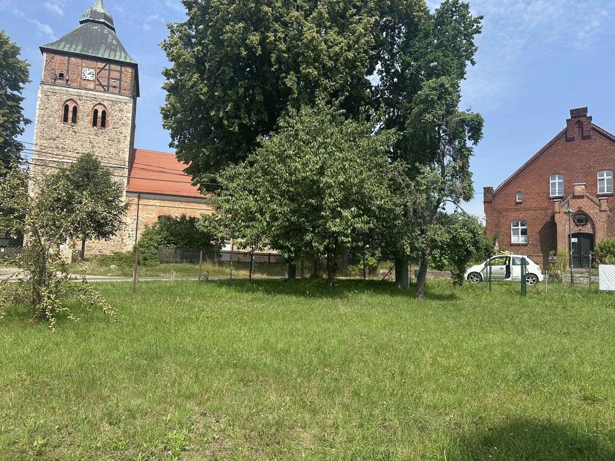 PROVISIONSFREI | Baugrundstück in der Schorfheide | Für Ihren Traum vom Eigenheim