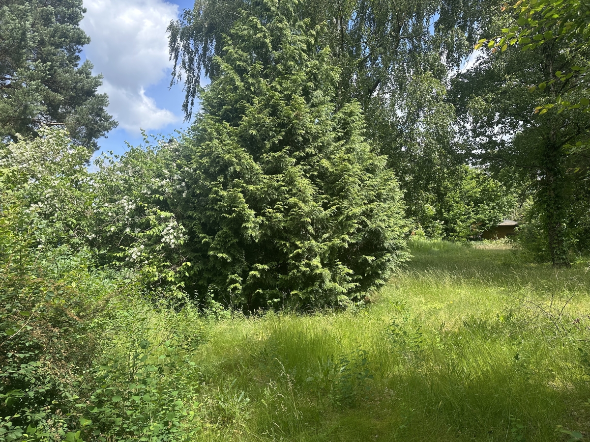 IHR ZUHAUSE BEGINNT HIER | 
Baugrundstück in Hohen Neuendorf ohne Bauträgerbindung
