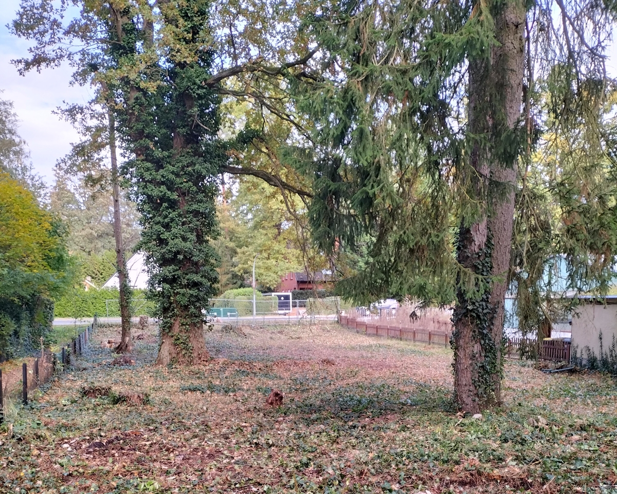 WOHNGLÜCK IM GRÜNEN | Ihr Baugrundstück vor den Toren Berlins - PROVISIONSFREI