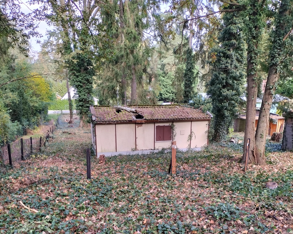 WOHNGLÜCK IM GRÜNEN | Ihr Baugrundstück vor den Toren Berlins - PROVISIONSFREI