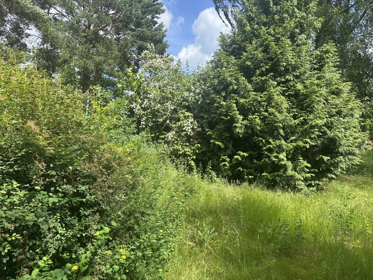 IHR ZUHAUSE BEGINNT HIER | 
Baugrundstück in Hohen Neuendorf ohne Bauträgerbindung