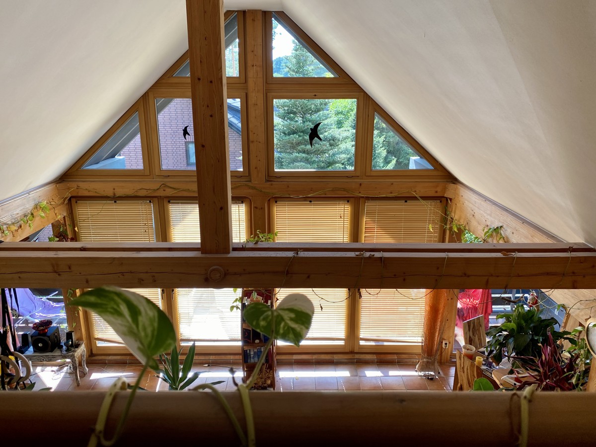 NEU | Zweifamilienhaus im Grünen