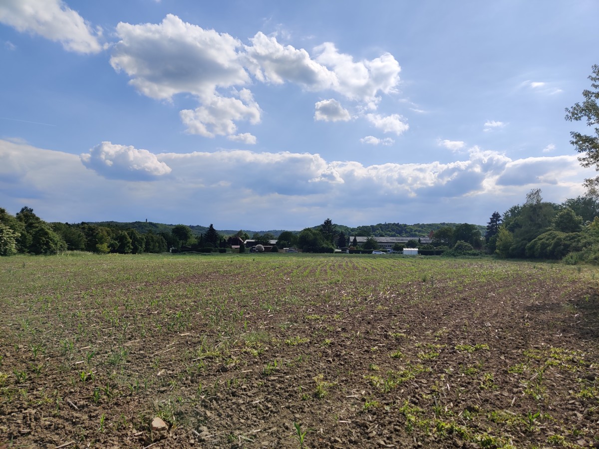GEGEN GEBOT | Circa 21000qm