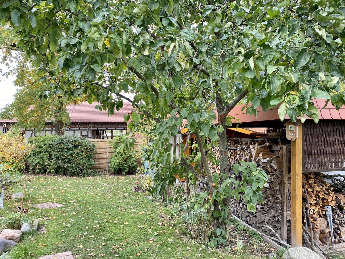 PROVISIONSFREI | Einfamilienhaus im Landidyll von Bernau
