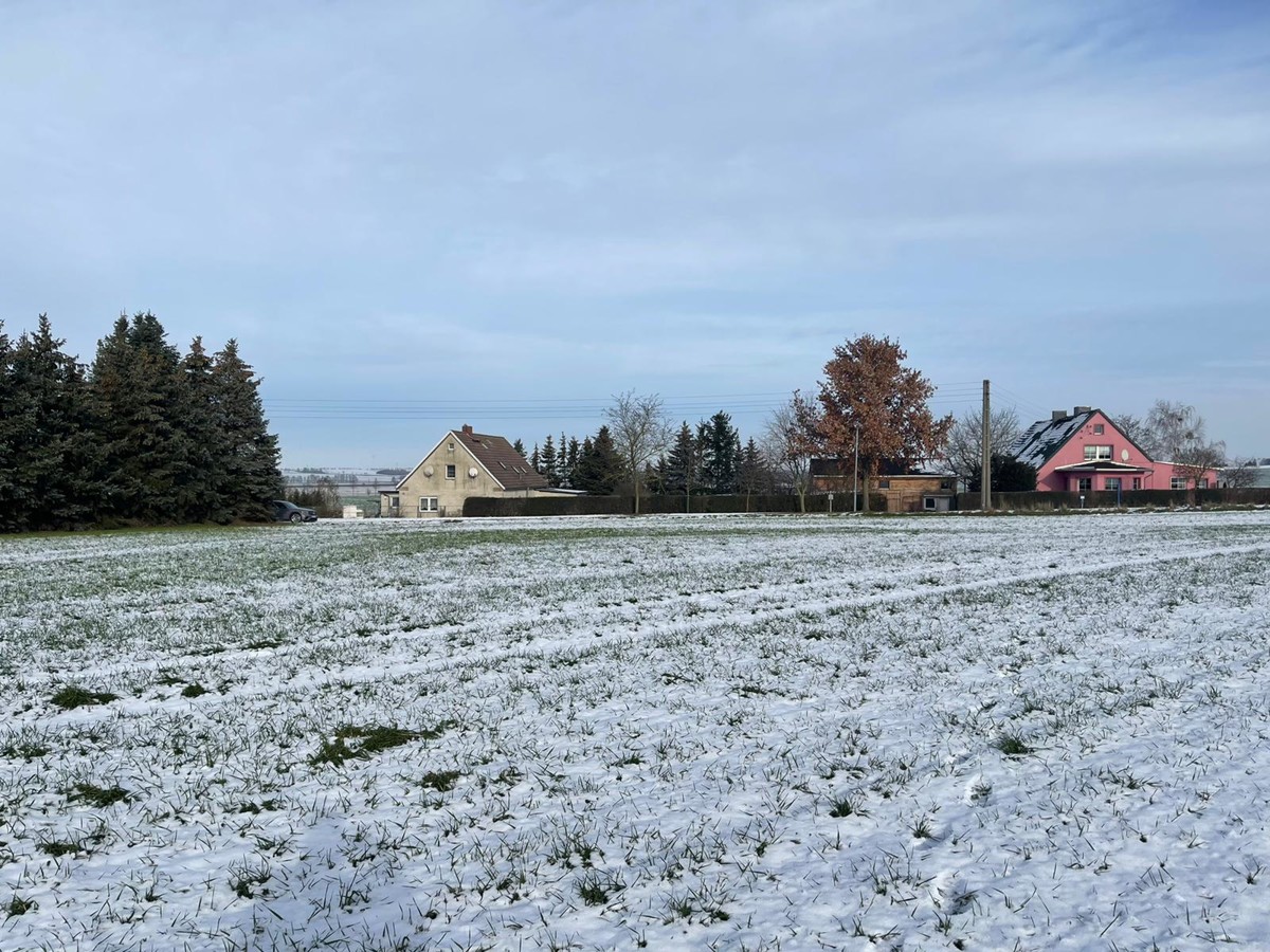 AB SOFORT | Provisionsfreie Landwirtschaftsfläche mit Potenzial