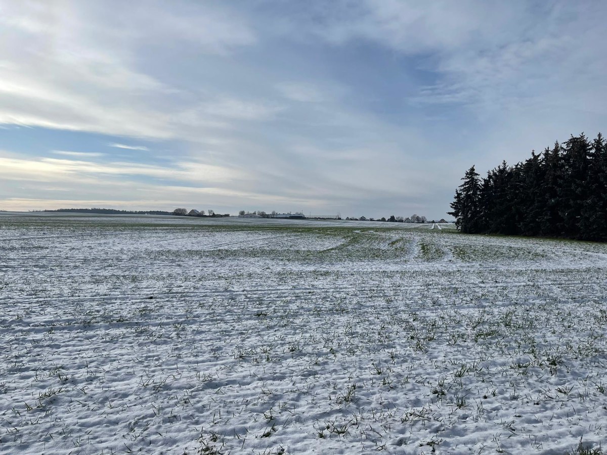 AB SOFORT | Provisionsfreie Landwirtschaftsfläche mit Potenzial
