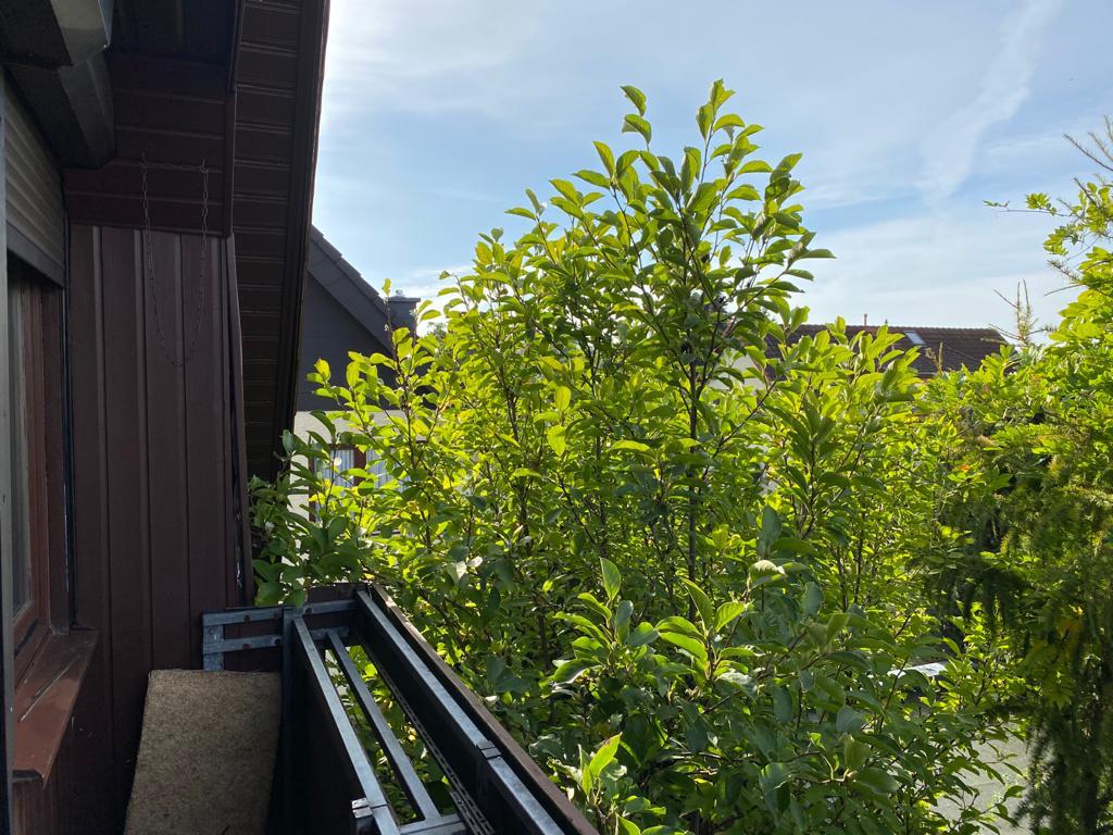 RESERVIERT | Großstadtfeeling mit eigenem Gartenanteil