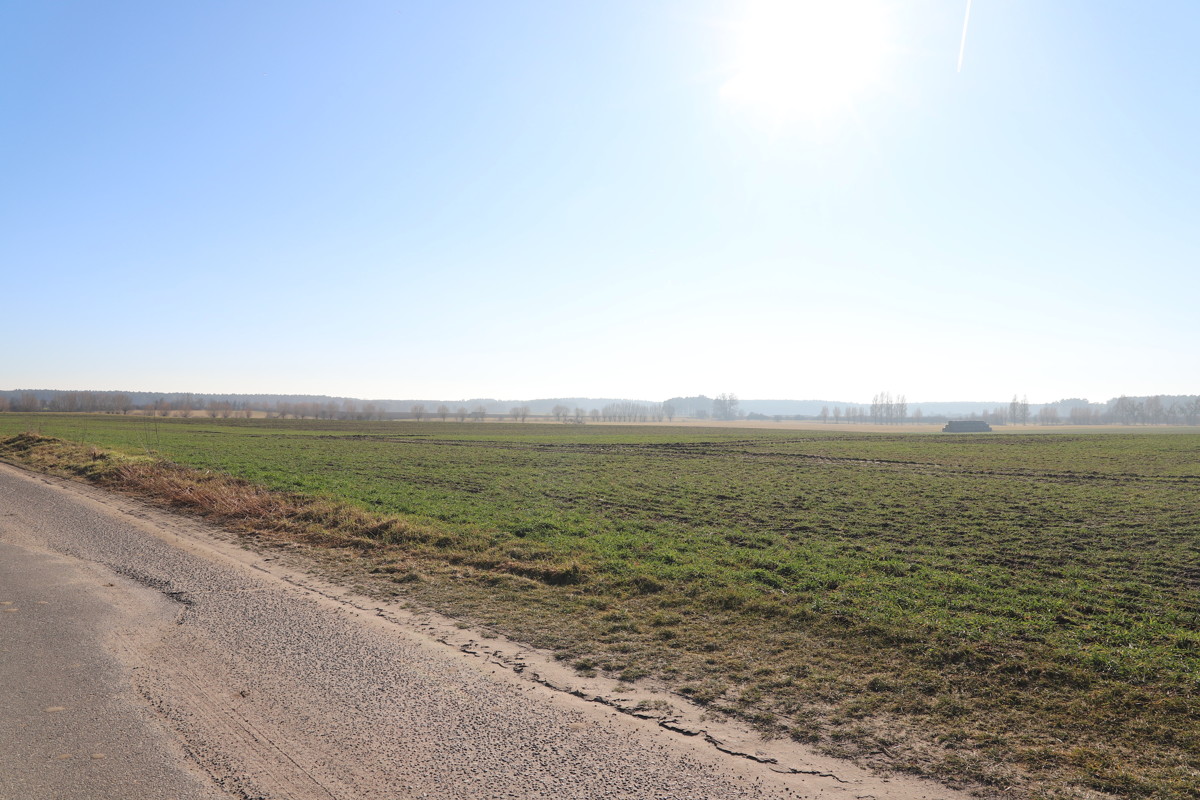 RESERVIERT | Solides Einfamilienhaus mit Ausbaureserve, Vollkeller und Feldblick.