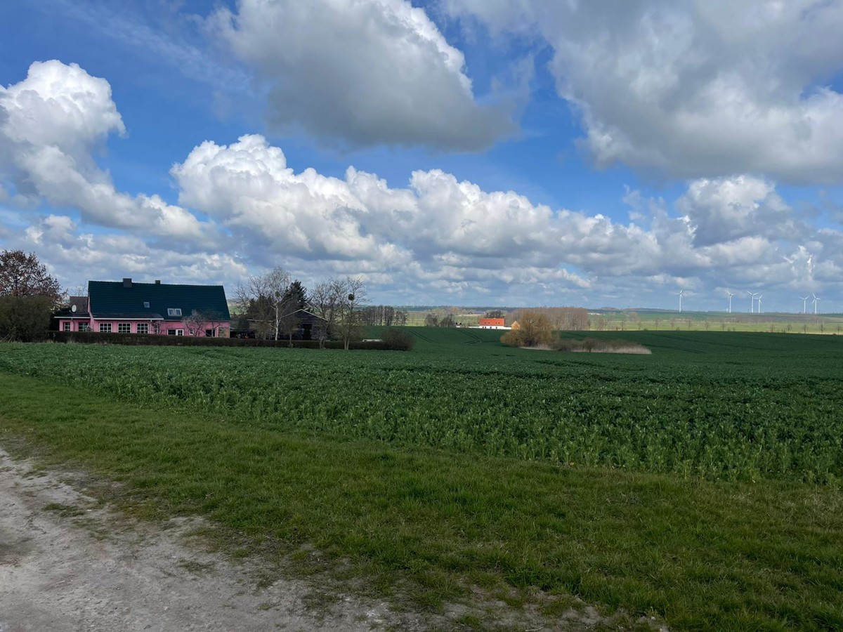 AB SOFORT | Provisionsfreie Landwirtschaftsfläche mit Potenzial