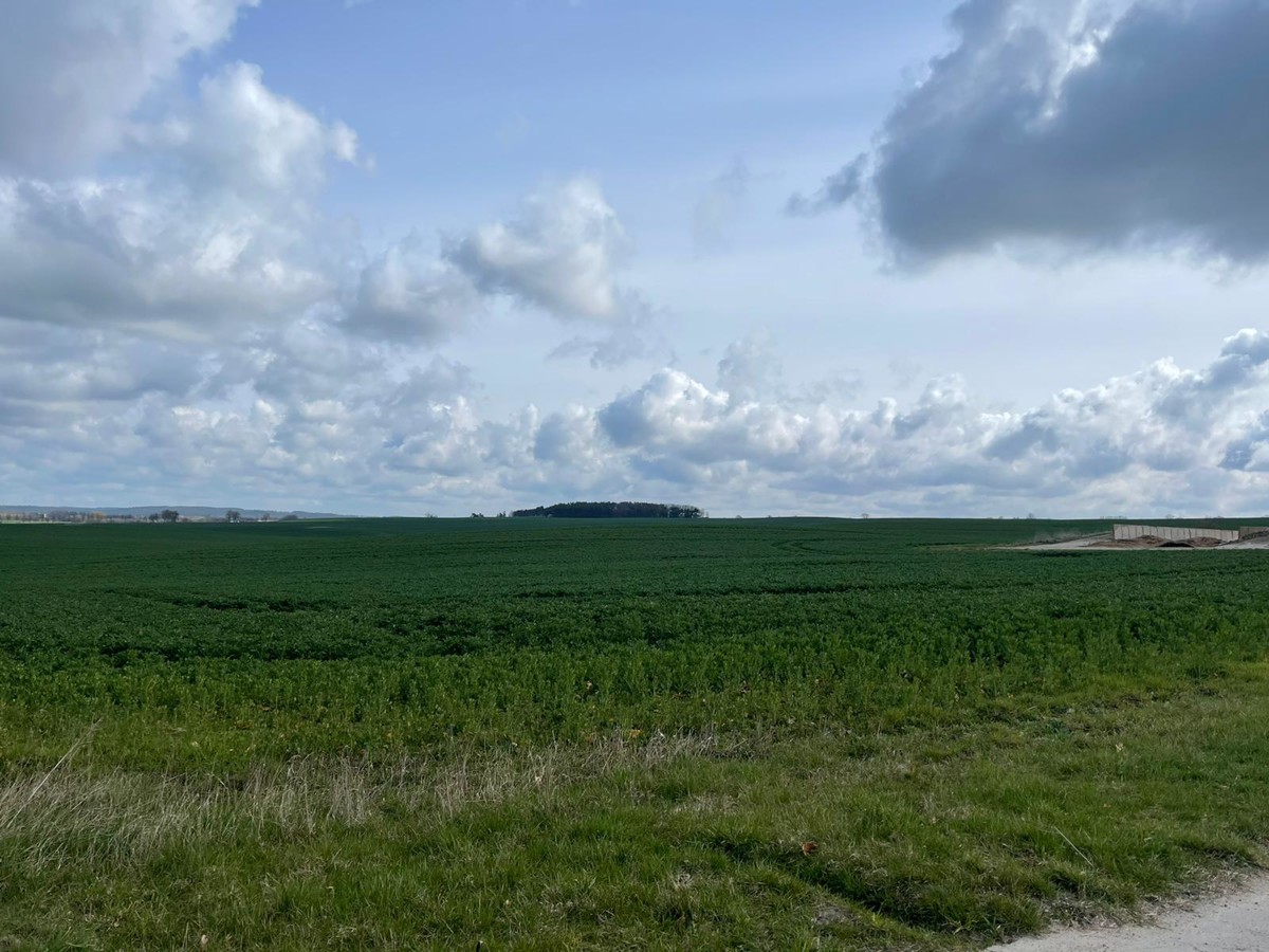 AB SOFORT | Provisionsfreie Landwirtschaftsfläche mit Potenzial