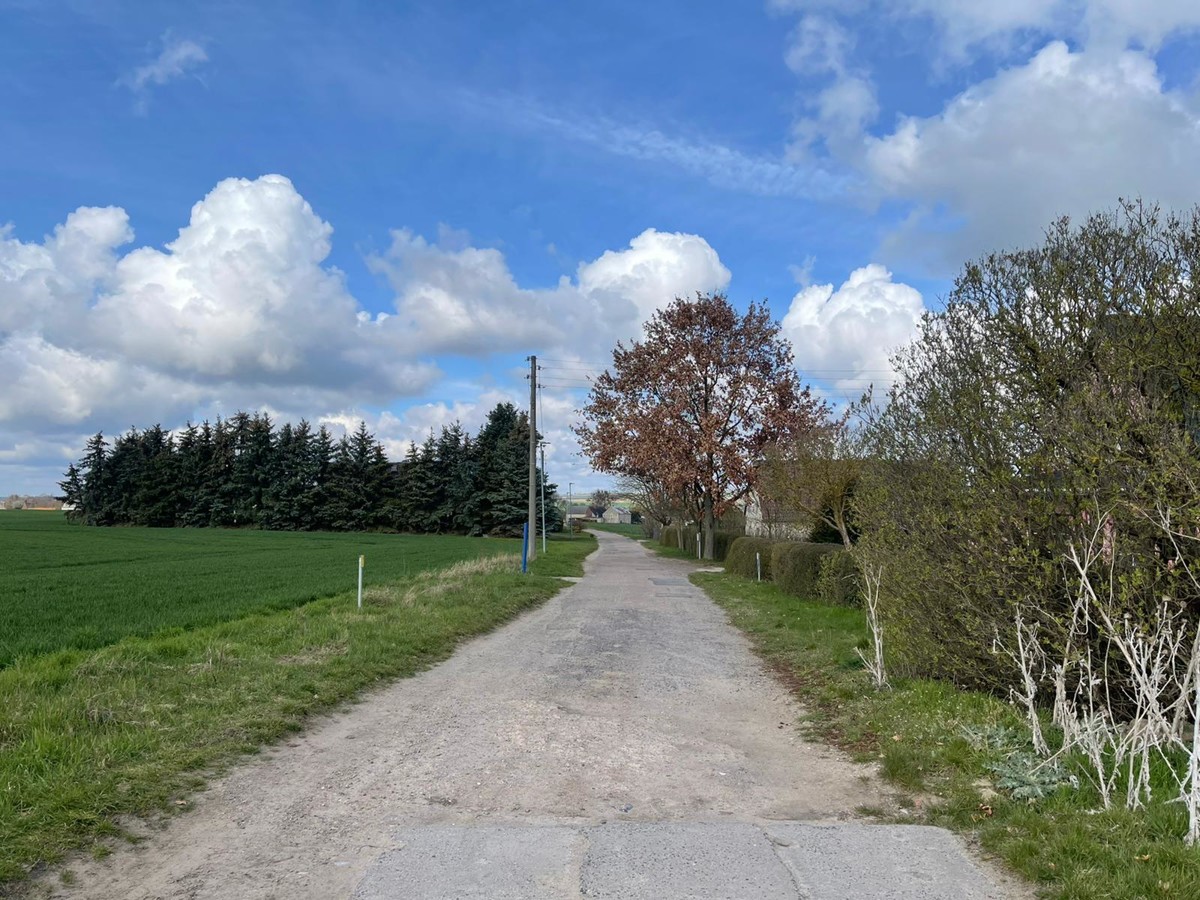 AB SOFORT | Landwirtschaftsfläche mit Potenzial