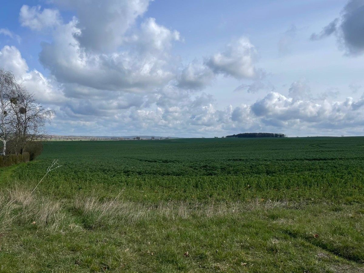 AB SOFORT | Landwirtschaftsfläche mit Potenzial