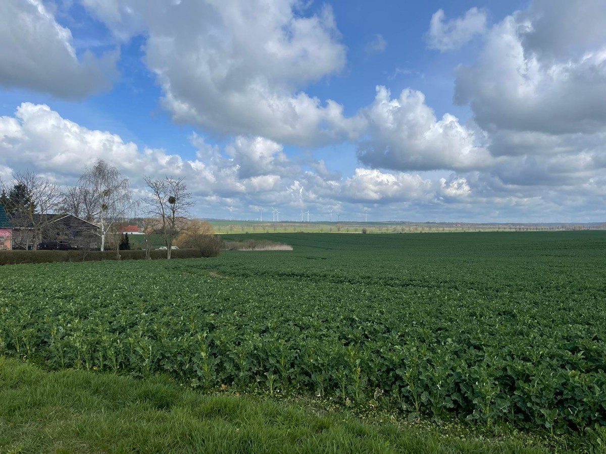 AB SOFORT | Landwirtschaftsfläche mit Potenzial