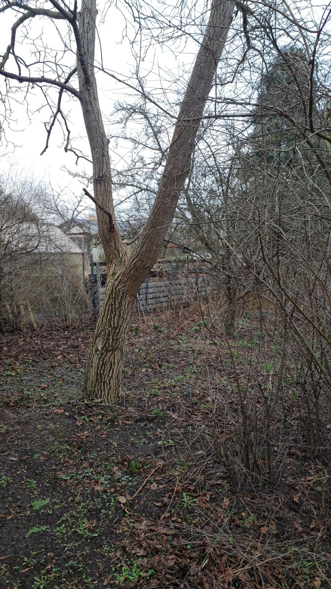 Bauprojekt für ein großzügiges Grundstück in Berlin Rosenthal