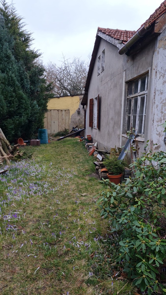 Bauprojekt für ein großzügiges Grundstück in Berlin Rosenthal