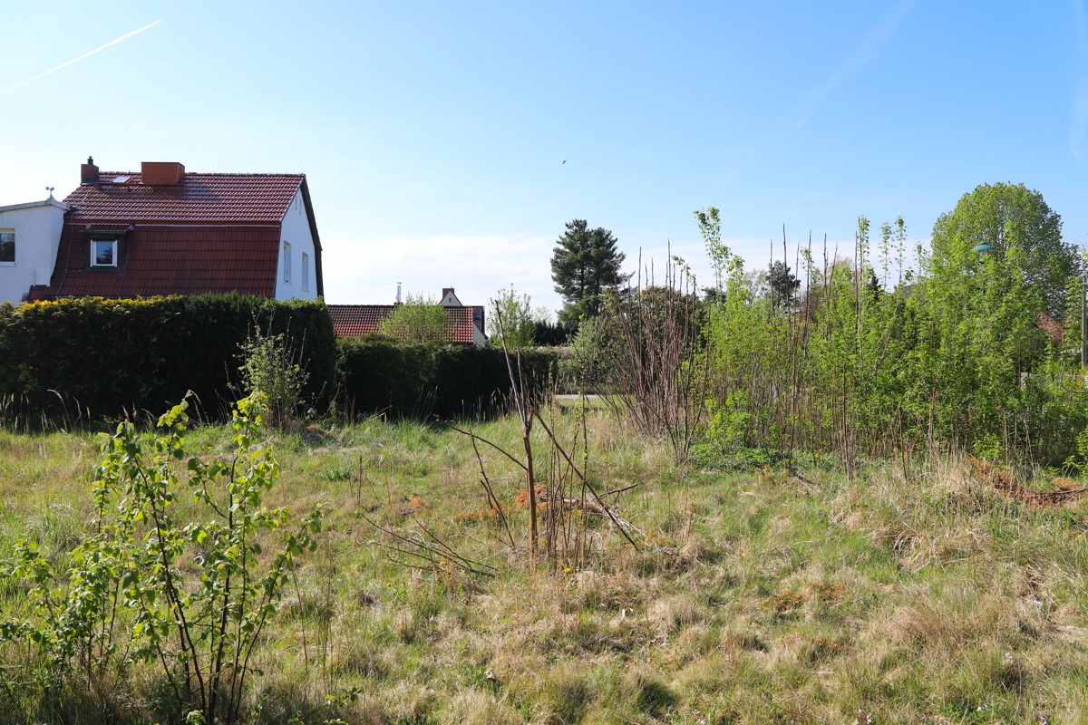 NEUBAU | Individualisierbarer Bungalow mit Ausbaureserve zum Erstbezug in Bernau Schönow