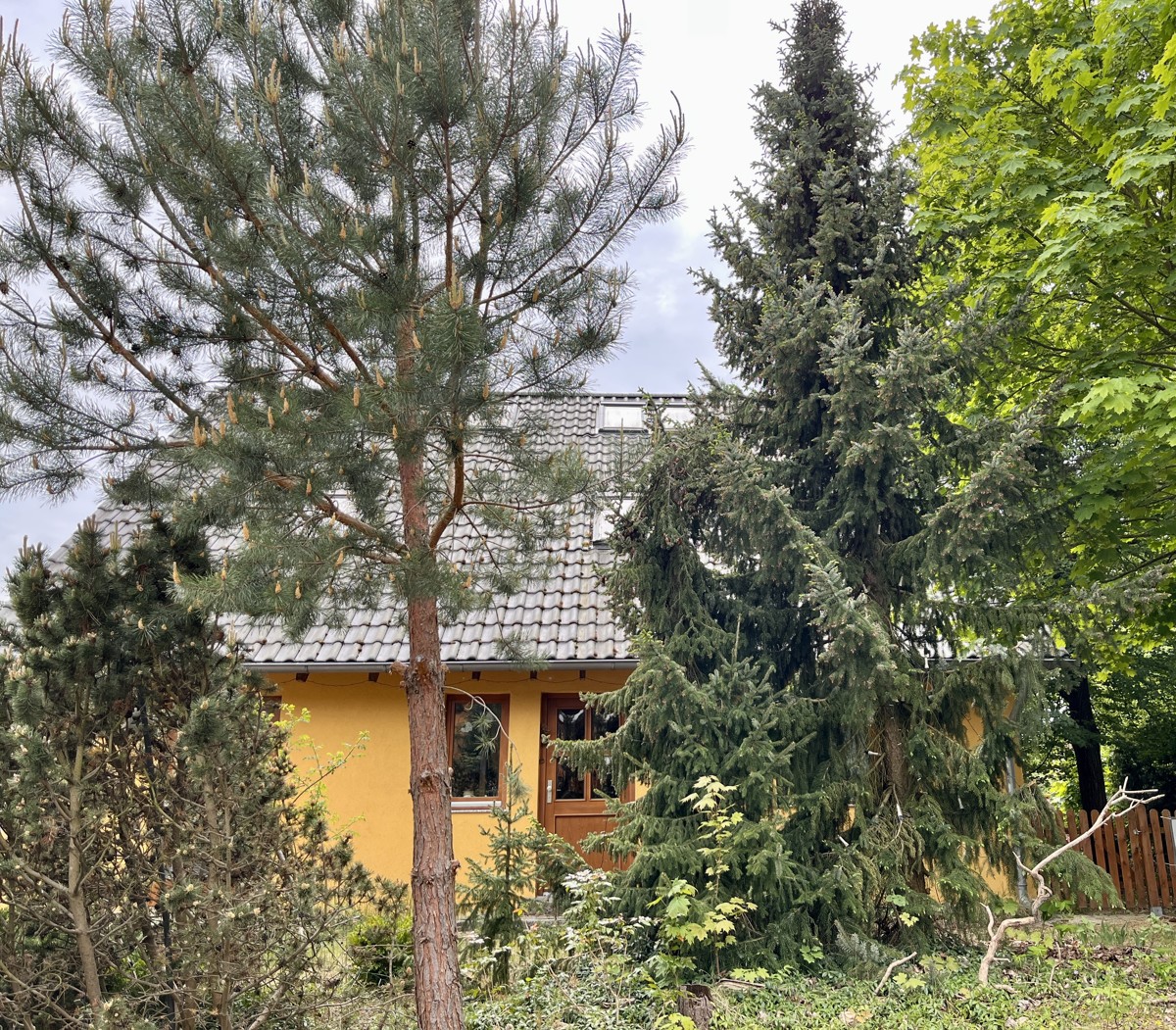 PROVISIONSFREI | Naturnahes Grundstück mit viel Potenzial in Wandlitz