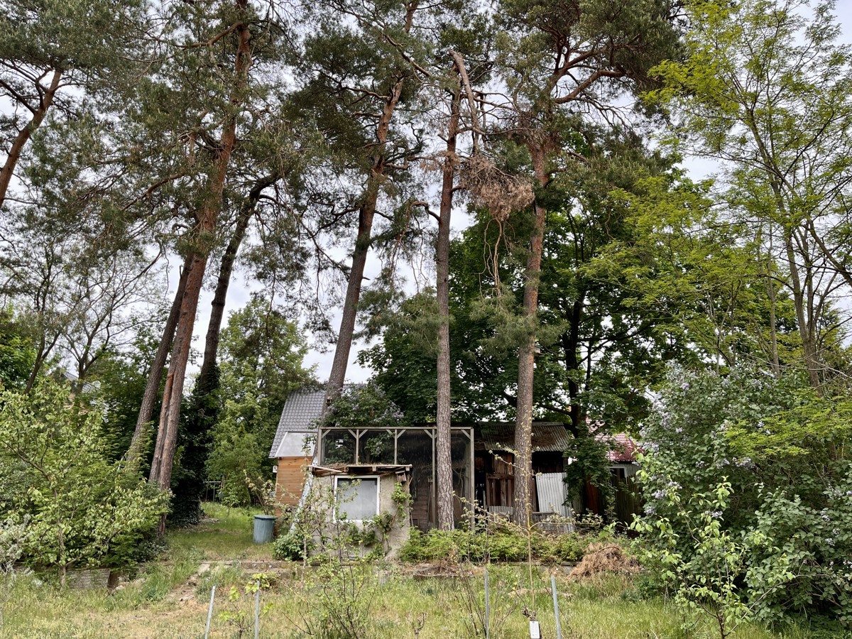 PROVISIONSFREI | Naturnahes Grundstück mit viel Potenzial in Wandlitz