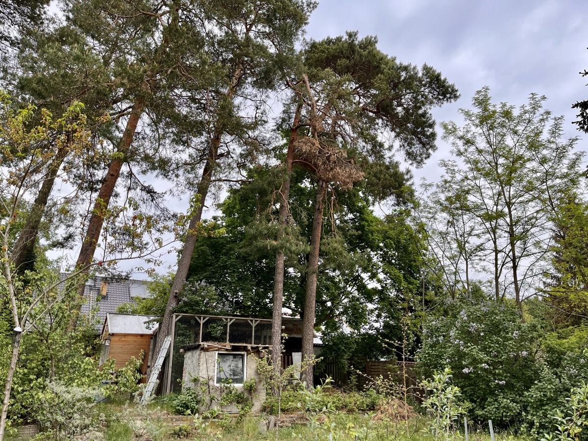 PROVISIONSFREI | Grundstück mit viel Potenzial im idyllischen Wandlitz