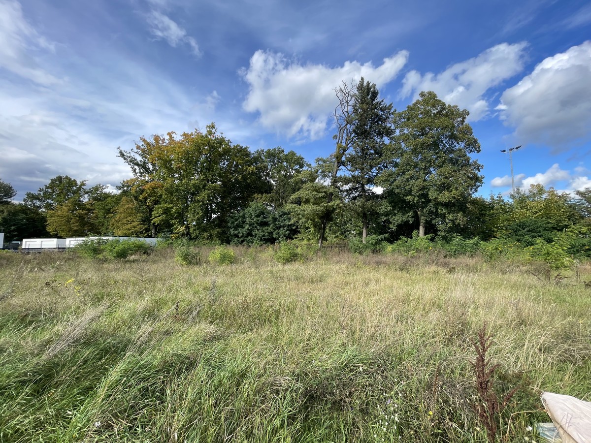 IHR STANDORT IN BERNAU | Gewerbeflächen ab 2023 zum Erstbezug von 93qm - 320qm zur Miete