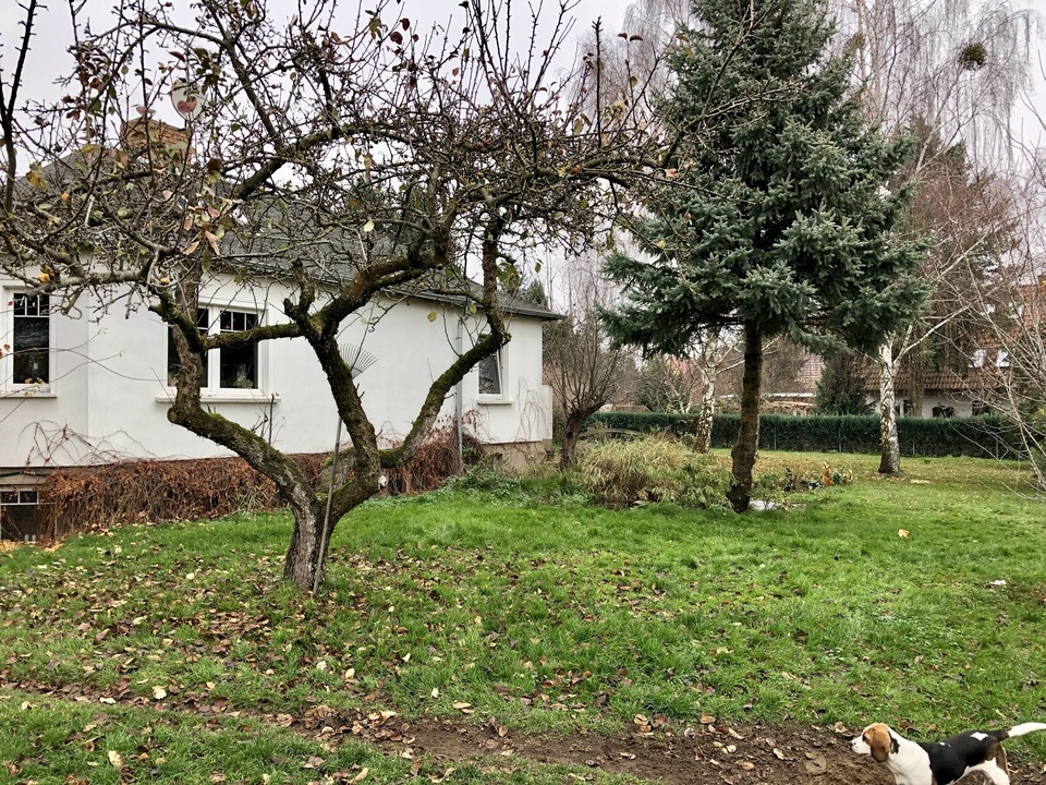PROVISIONSFREI | Unterkellerter Bungalow als Ausbauhaus